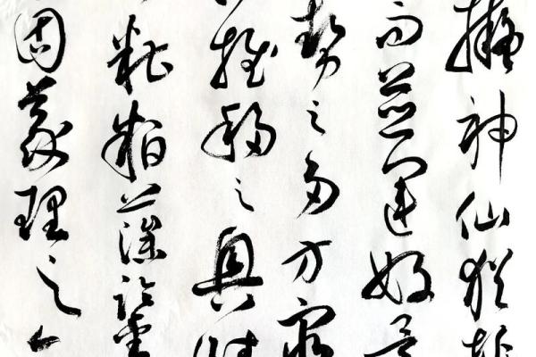 玫瑰之路：命运中的坎坷与坚韧的背影