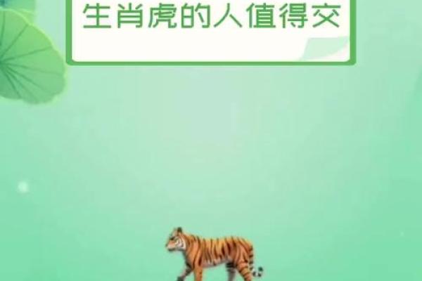 2010年虎年出生女孩的命运探秘：蕴含在生肖背后的智慧与性格
