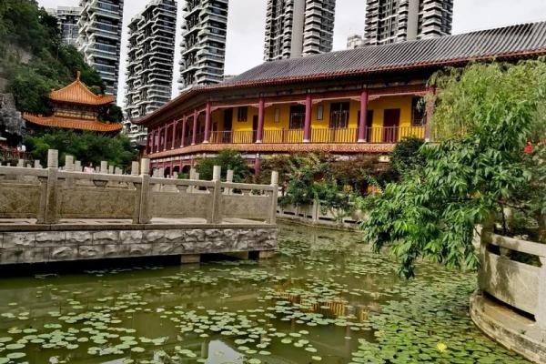 属猪水命的颜色缺失：如何通过色彩找到内心的平衡与幸福