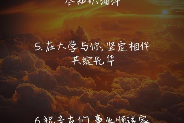 2019年命运解析：在星辰的指引下探索人生的奥秘