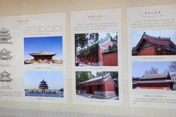 1977蛇年出生的人生解读：命理与性格的奥秘探索