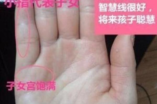 手指与命运：揭示不同手指代表的独特命理智慧
