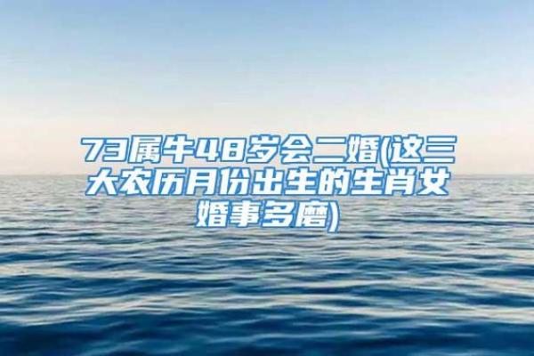 48虚岁属牛的人生运势与命理探秘