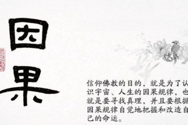 为什么呆不住的人总是四处追寻？揭开他们的命运之谜！