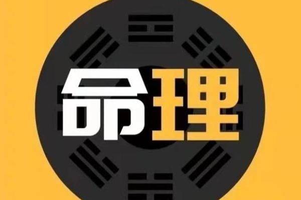 山头火命人的生意之道：如何选择适合自己的创业方向