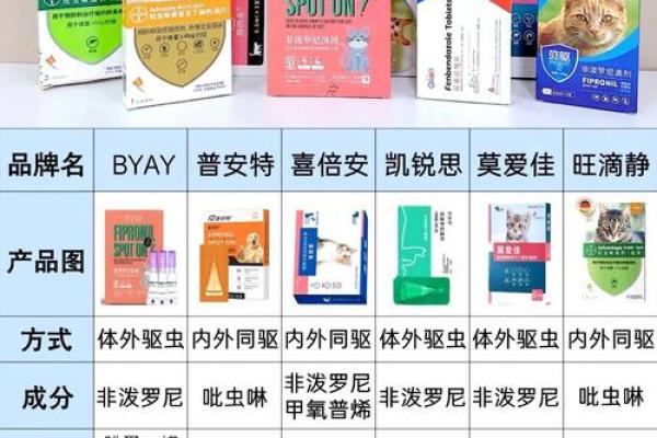 探讨：哪些宠物最容易照顾，适合新手养？