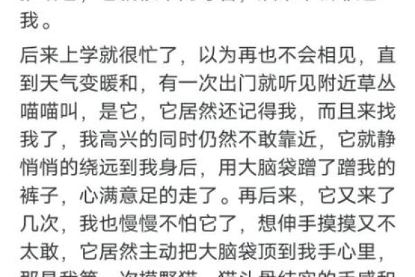 63年兔子命运解析：追寻生命中的兔之灵性与幸运
