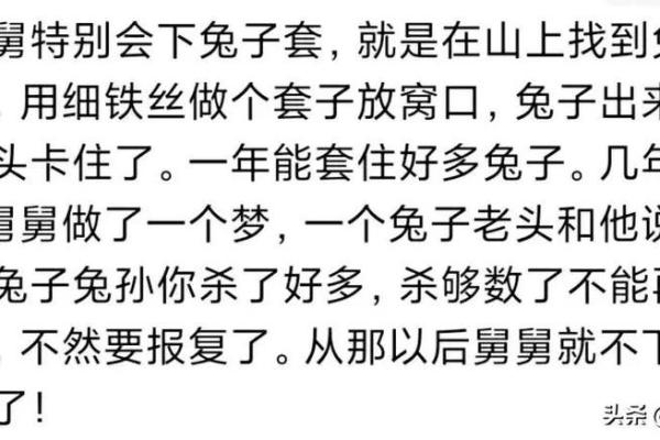 63年兔子命运解析：追寻生命中的兔之灵性与幸运