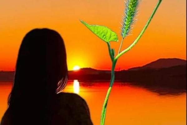 探秘日元背后的命运之谜：经济与人生的交织