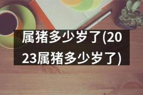 属猪人士在2023年10月14日的命理解析与生活建议