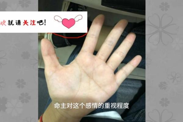 揭秘男人断掌纹：命运与性格的深层解读