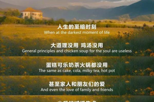 无法翻身的人生意义：探寻命运的另一面