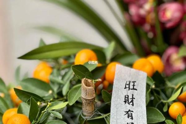 水命佩戴什么最旺财运，助你财源滚滚来！