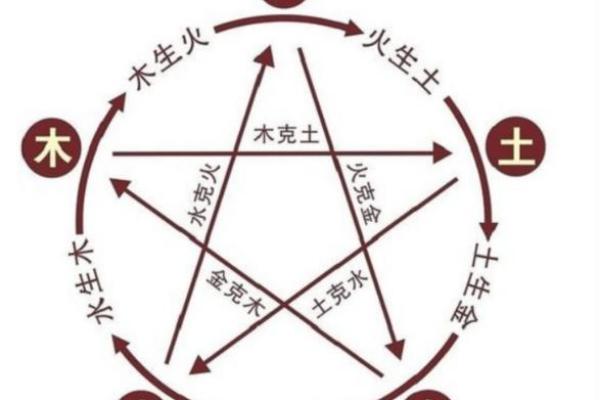 杨柳木命的人缺乏什么？了解五行与命理的奥秘