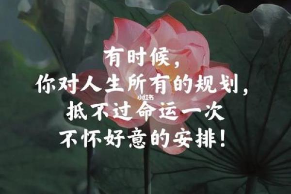 揭开十二星座男女的命运之谜：不同星座的命运解析与人生启示