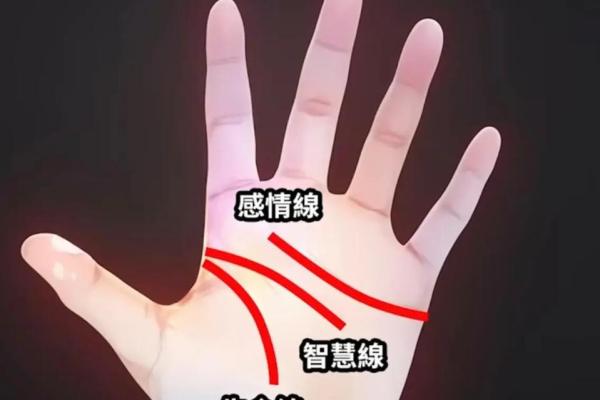 1986年出生的女人命运揭秘：了解她们的性格与生活轨迹