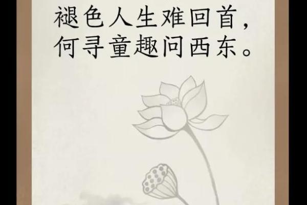 没有婚姻与孩子，人生何寻？解读独特命运之路