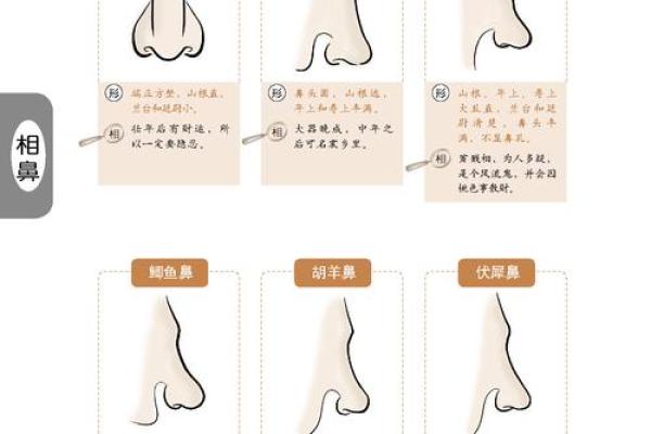木命人与哪些五行相克,合作的禁忌分析 木命人与哪些五行相克,合作的禁忌分析