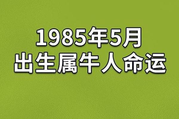 1951年出生的命运分析：几月出生日更好？