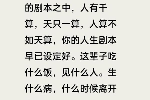 上等命:探讨命运与人生的深刻意义 上等命:探讨命运与人生的深刻意义