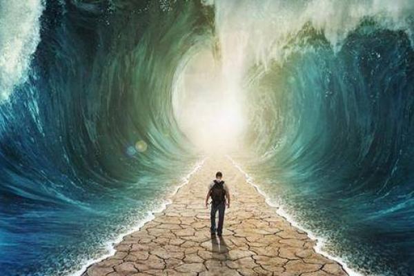 探究体制命格：你是否也被命运的轨迹所牵引？