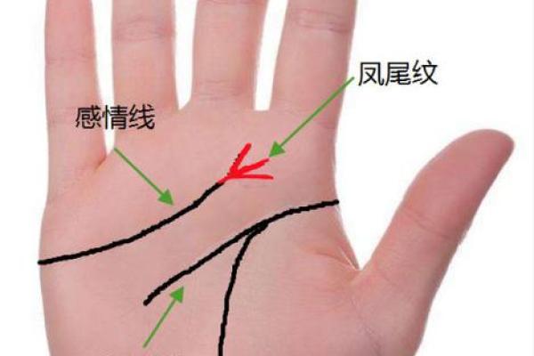 男生什么长相天生富贵命：脸型、气质与财富的神秘联系