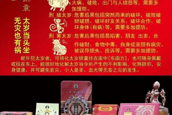 探秘2010年虎年命理解读:生于虎年的人生奥秘 探秘2010年虎年命理解读:生于虎年的人生奥秘