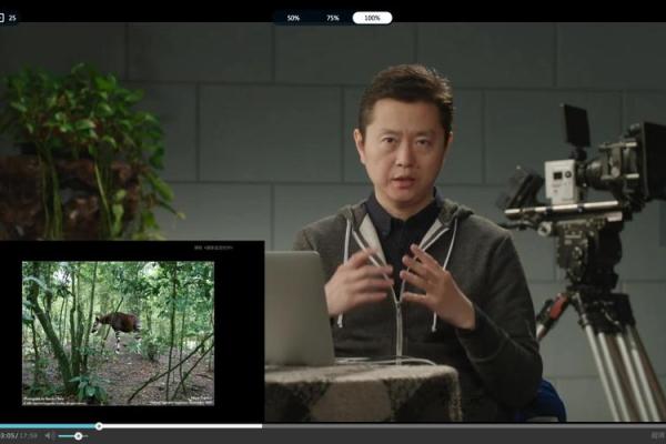 松柏木命与颜色忌讳:带你走进命理与色彩的奥秘 松柏木命与颜色忌讳:带你走进命理与色彩的奥秘