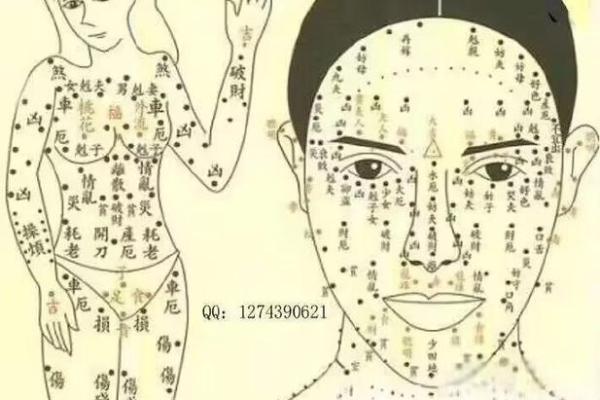 眉毛中有痣的秘密:深藏的命运与性格解析 眉毛中有痣的秘密:深藏的命运与性格解析