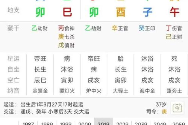 2028年鼠宝宝命格解析：丰富多彩的人生旅程将开启！