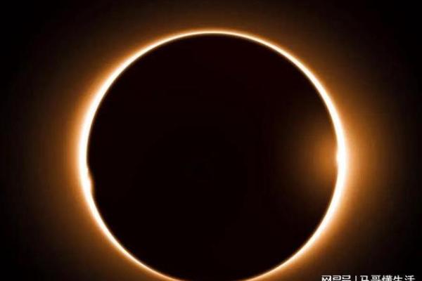 揭秘2005年：命理中的白羊之年与其对人生的影响