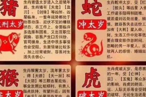辛亥命理解读：揭示猪年的神秘与智慧