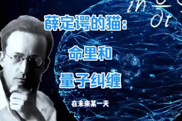 人生的最后归宿：命与葬的哲学思考