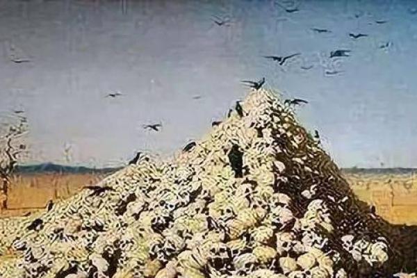 缺水的命,看似平常却危害巨大,如何巧妙应对? 缺水的命,看似平常却危害巨大,如何巧妙应对?