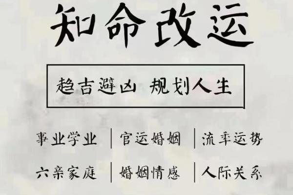 有吃有喝，命理背后的生活智慧与幸福探寻