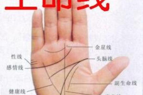 从手相看命运的秘密：解读生命线与智慧线的奥妙