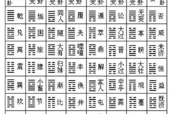 2009年命卦解读：寻找生活中的智慧与方向