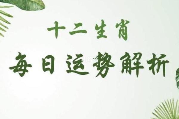 1988年木龙命的性格与人生轨迹解析