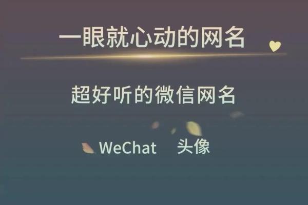 木命男生适合的网名选择与创意灵感分析