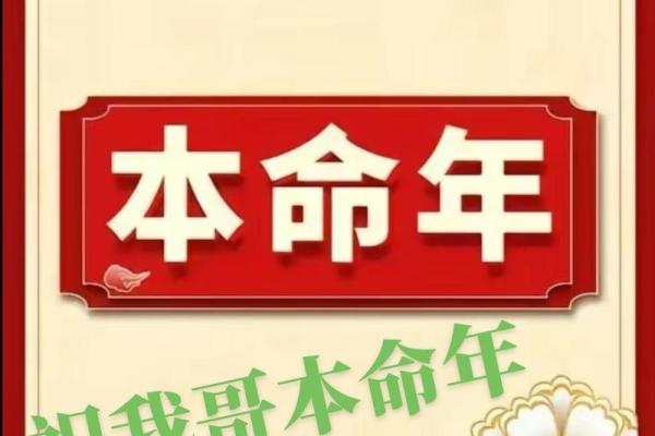 探索12年龙命的奥秘与人生启示