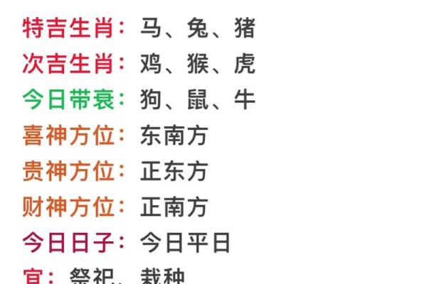 1986年属马：奔腾的命运与人生智慧分享