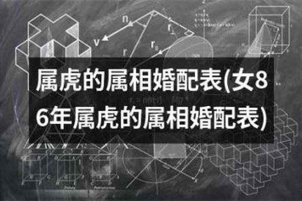 1978年属虎的人命运解析与生活智慧