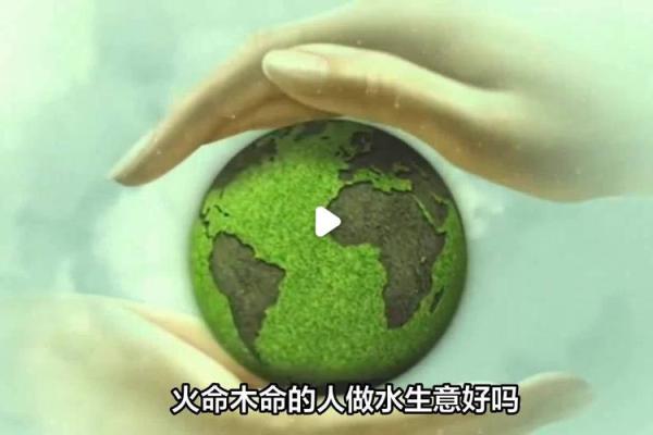 木命人的最佳生意选择：让财富与健康共生的创业之道