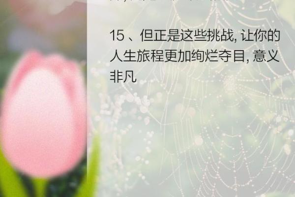 1991年秋天出生的命运：探索人生的多彩篇章