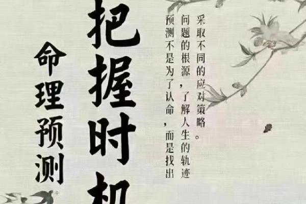 探索2019年腊月出生的命理与人生轨迹