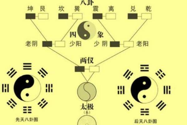 算卦头发多的命理解析：揭示命运与头发生长的奥秘