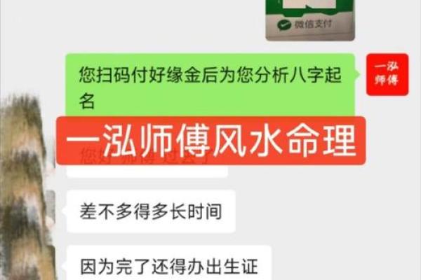宝宝狗年出生，命格与运势全解析