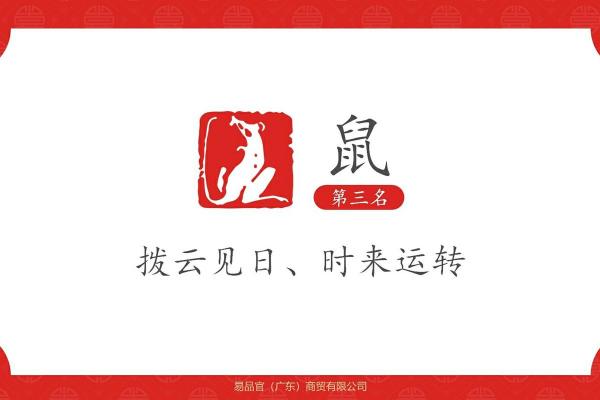2008年老鼠年：探寻鼠命里缺失的食材与运势提升之道