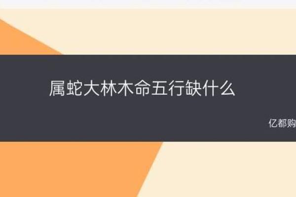 桑松木命的魅力与智慧：解密数字背后的奥秘