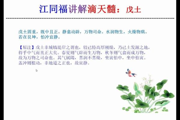 1977年土命人的命理分析：缺什么与如何弥补